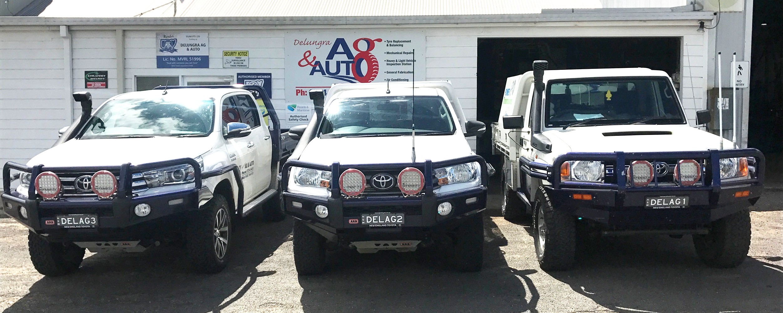 delungra ag and auto